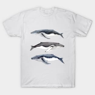 Humpback whales T-Shirt